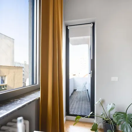 Your Big In Center * 布加勒斯特