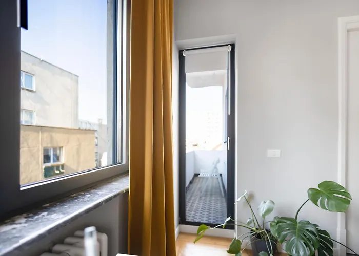 Your Big In Center * 부쿠레슈티